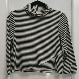 Hiatus Green & White Striped Turtleneck Top